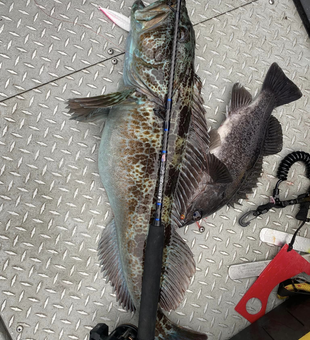 Fish On In Winchester Bay